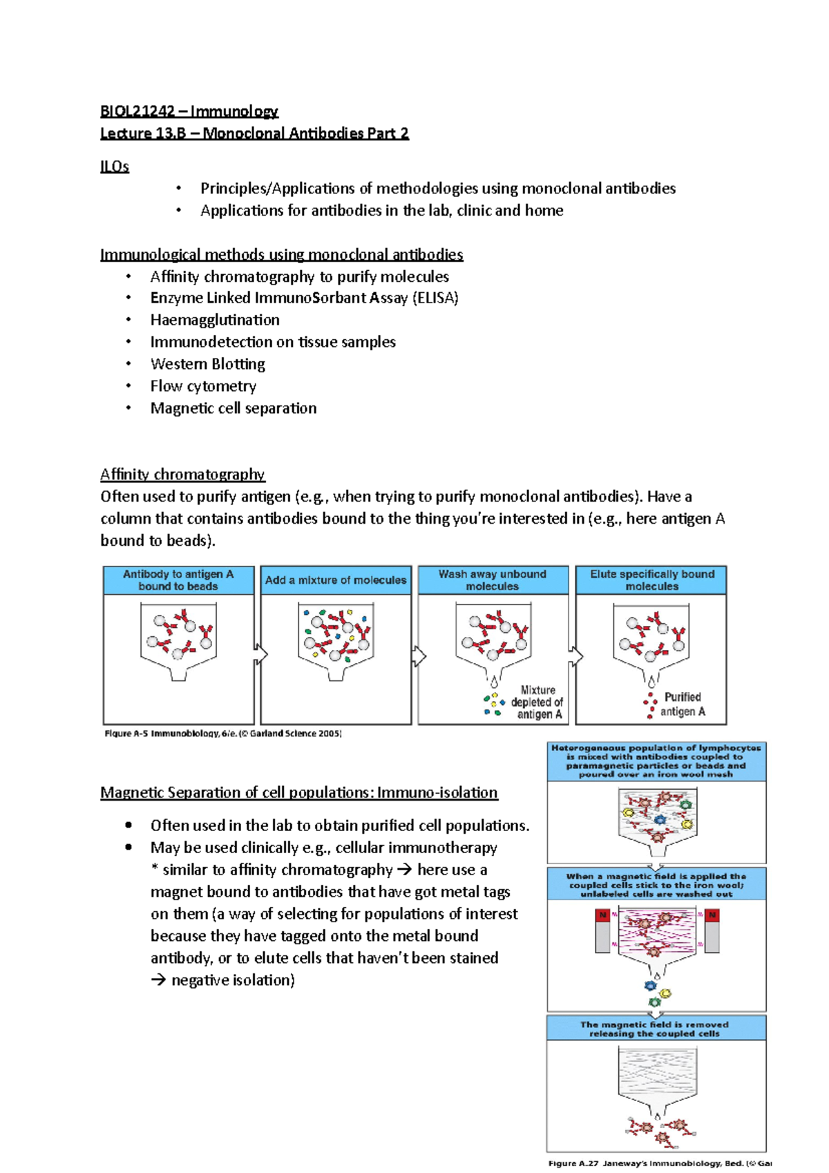 Lecture 13.B – Monoclonal Antibodies Part 2 - BIOL21242 – Immunology ...