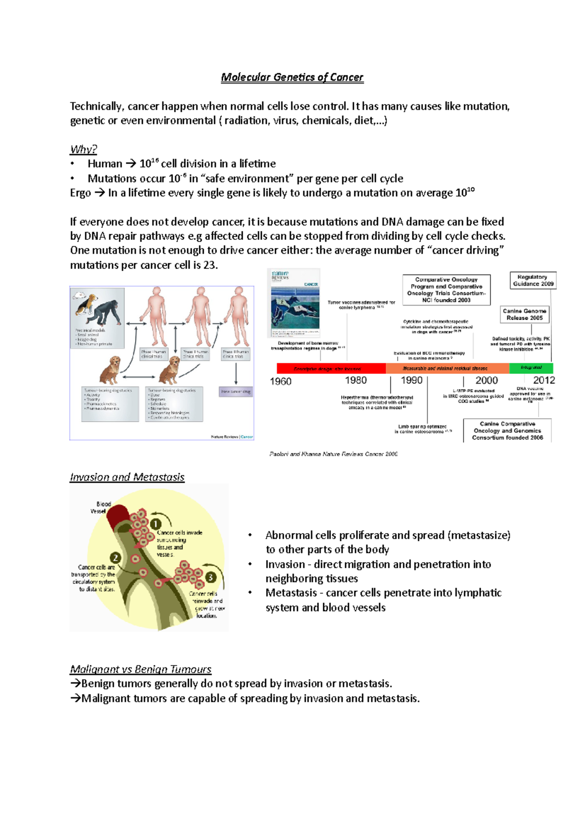 molecular-genetics-of-cancer-molecular-genetics-of-cancer-technically