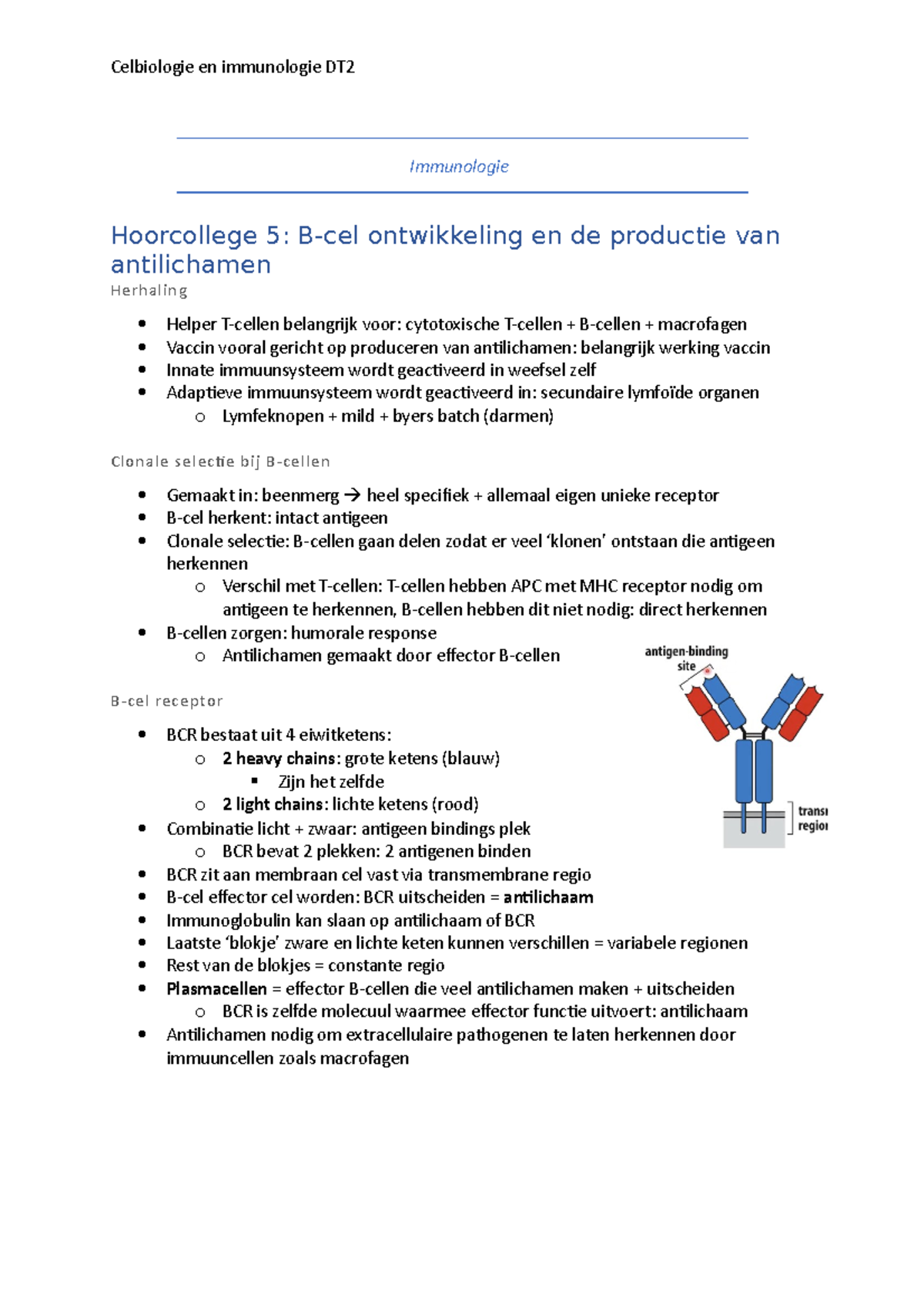 Celbiologie En Immunologie Dt Immunologie Hoorcollege B Cel Ontwikkeling En De Productie