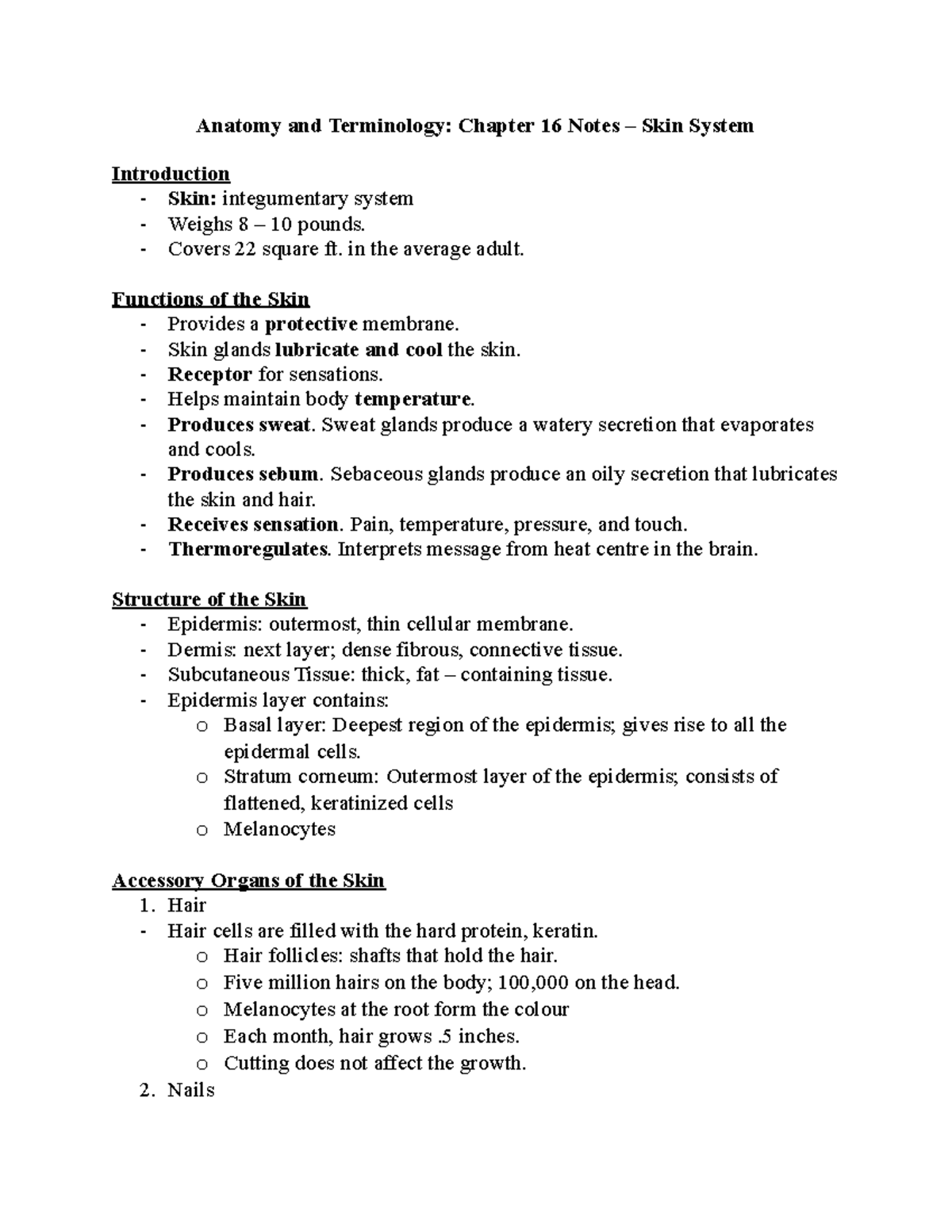 Skin System - Anatomy and Terminology: Chapter 16 Notes – Skin System ...