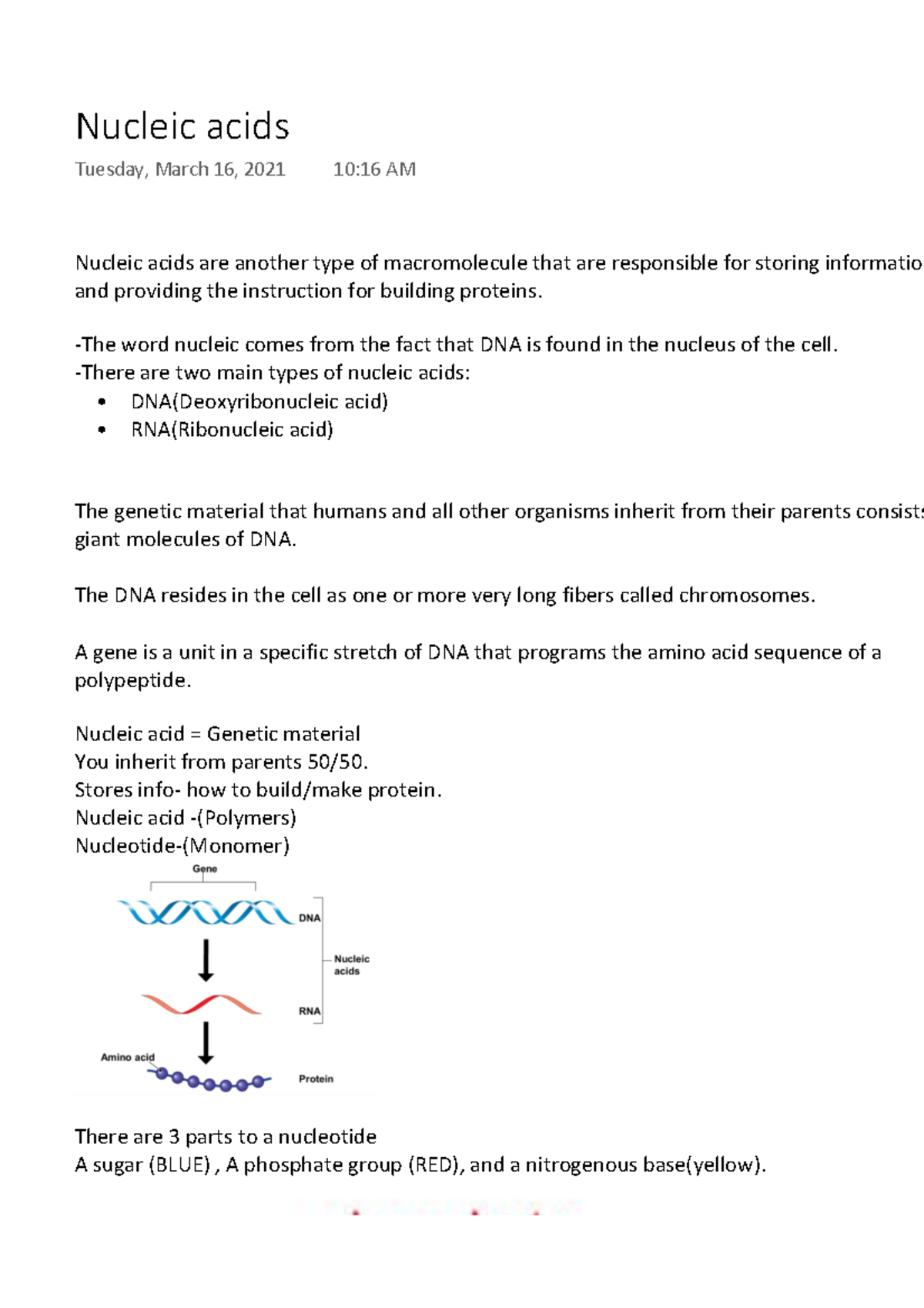 Nucleic acids BIO401 L6 Nucleic acids are another type of