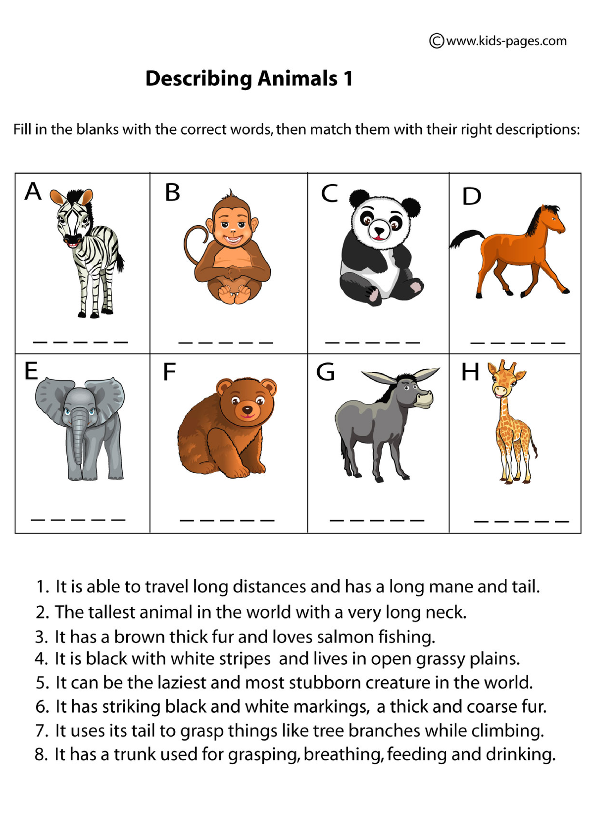 Describing Animals 1 - Exercises to practice - English Course - Studocu