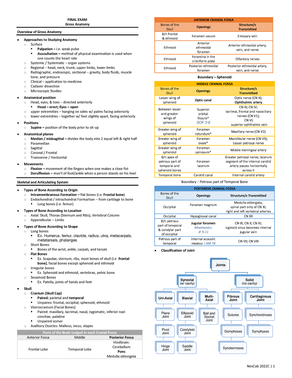 Gross Anatomy Summary - FINAL EXAM Gross Anatomy Overview of Gross ...