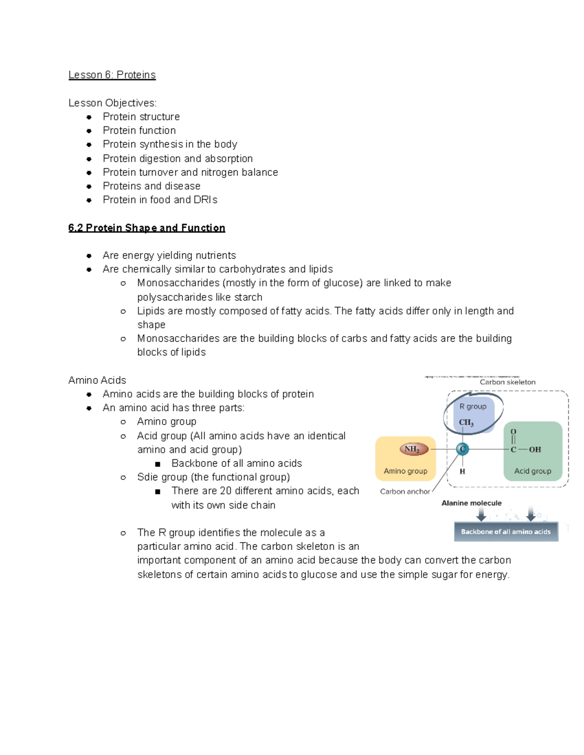 BIOL 203Midterm 2 notes Lesson 6 Proteins Lesson Objectives