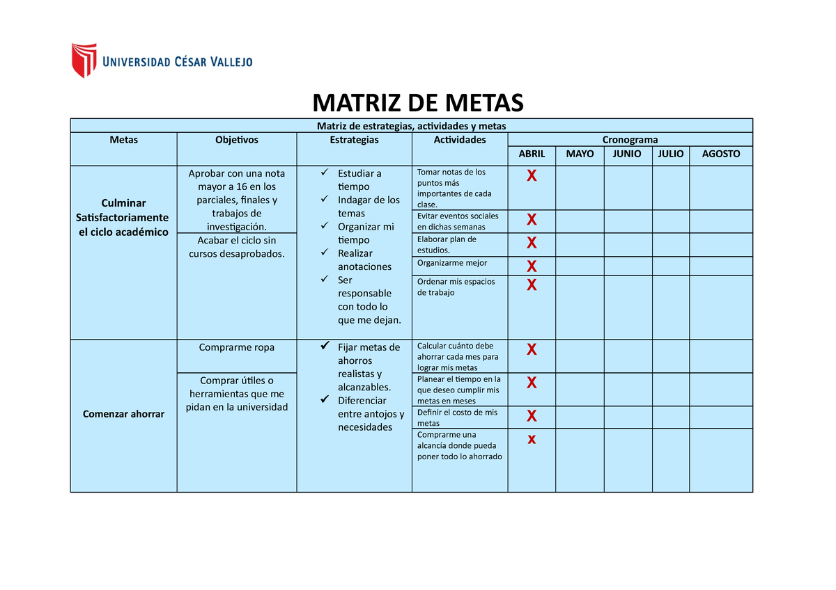 Matriz De Metas 13 Cvvc Matriz De Metas Matriz De Estrategias Actividades Y Metas Metas 4092