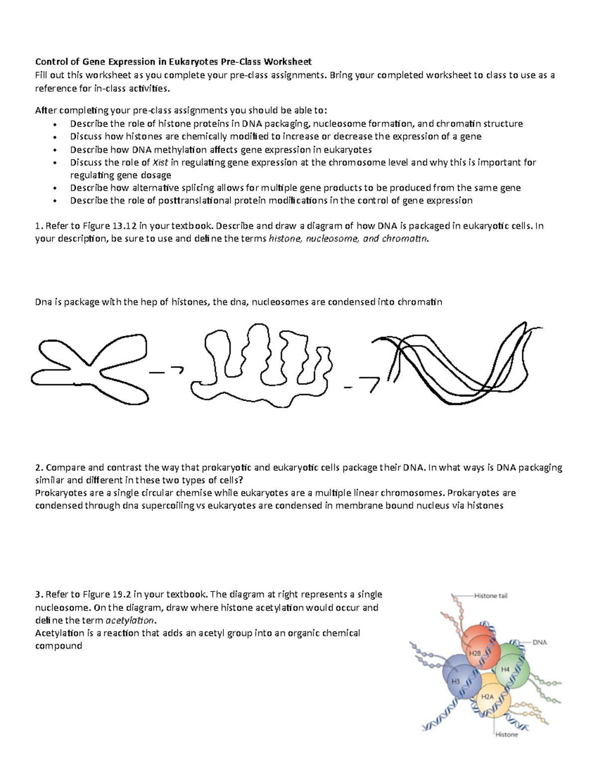 Week 7b Eukaryotic Gene Expression Control of Gene Expression in
