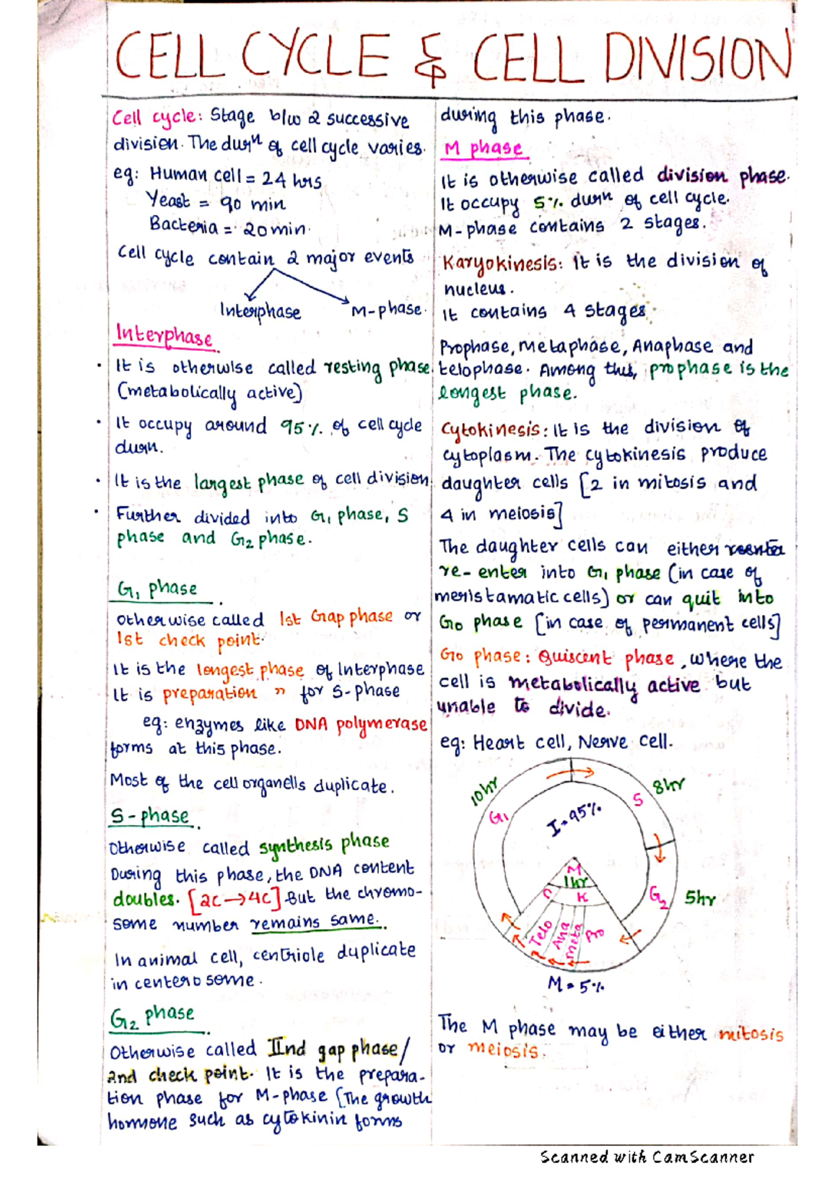 CELL Cycle Notes - Everything about cellcyle - Biology - Studocu