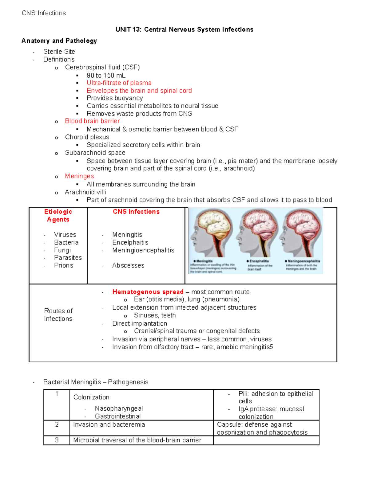 Unit 13-CNS Infections - UNIT 13: Central Nervous System Infections ...