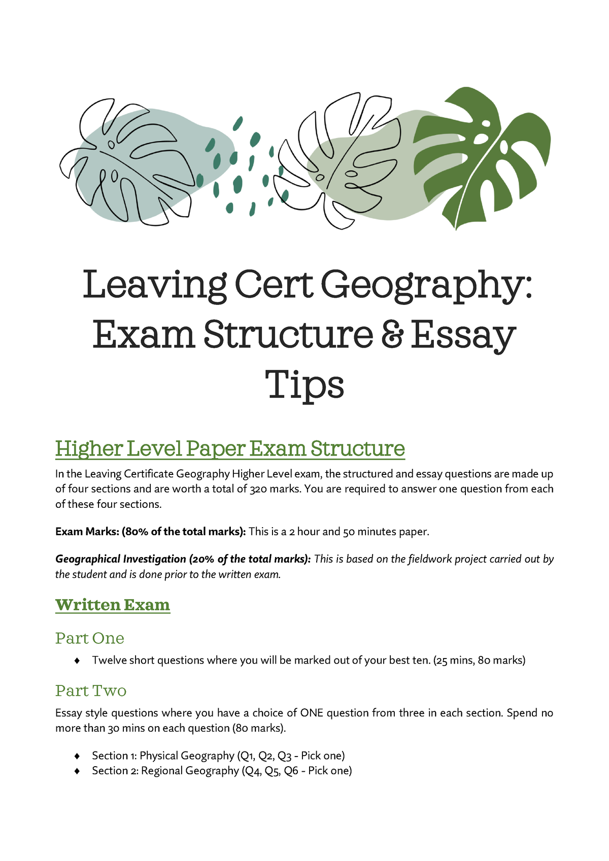 geography sample essays leaving cert