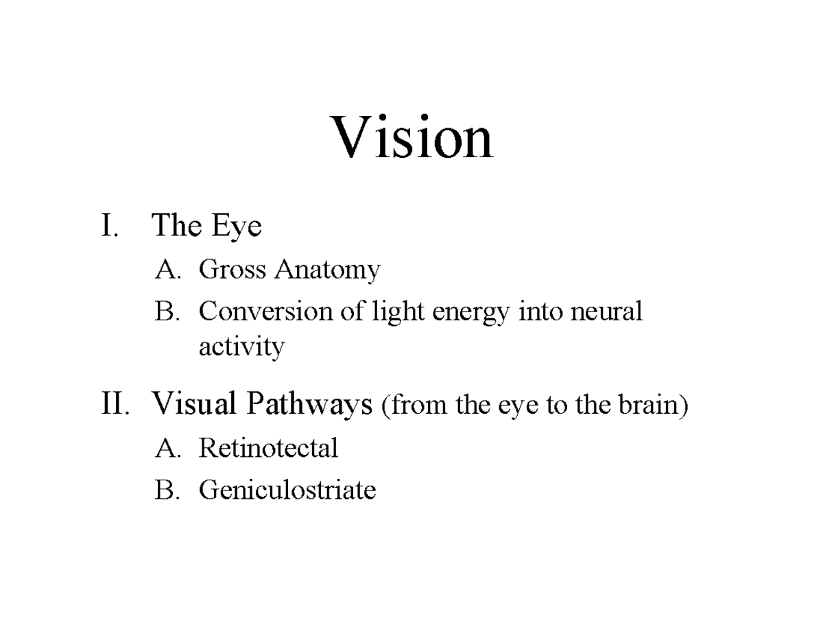 6. Vision Slides-6 - Vi iVision I. The Eye ####### A. Gross ...