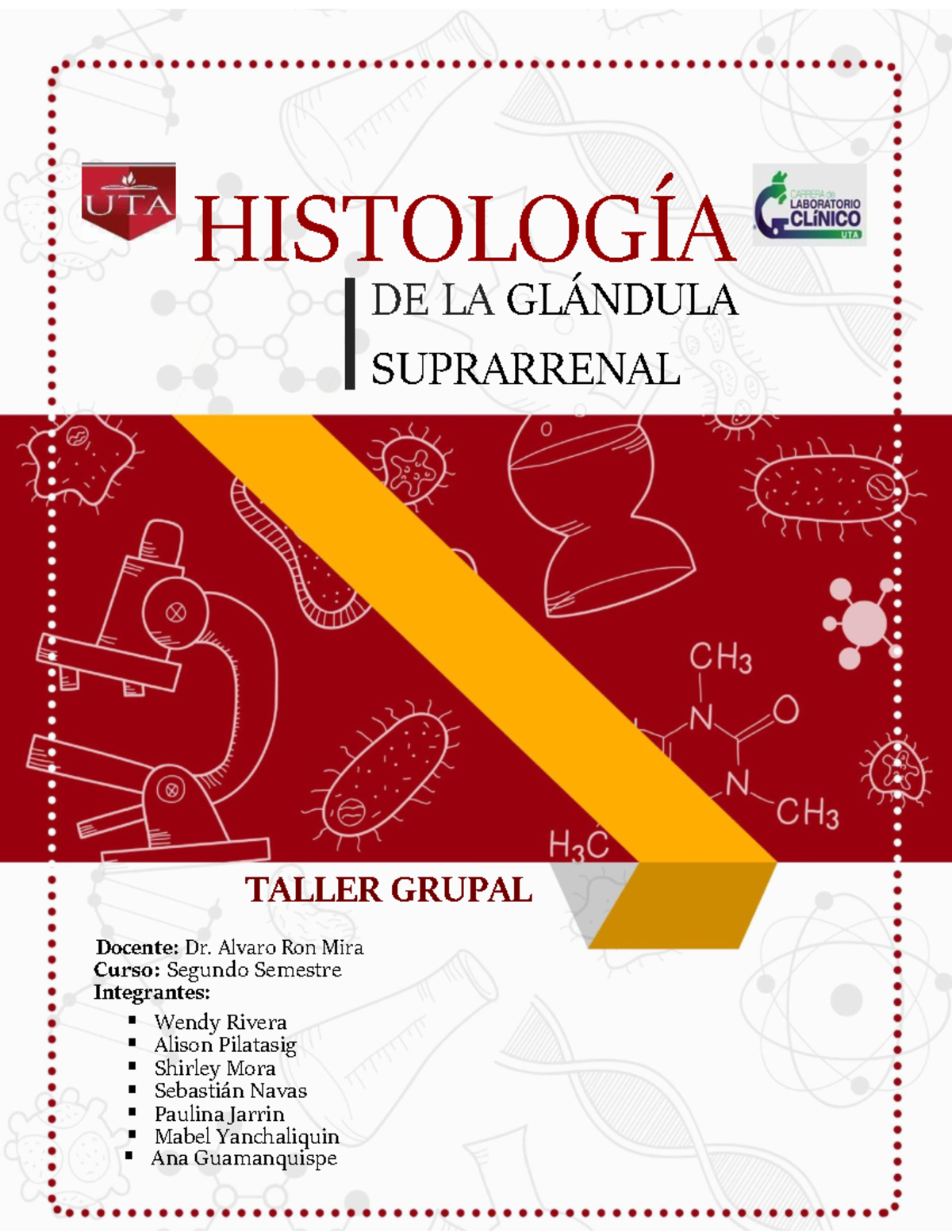 Exposición Glandula Suprarrenal Histología - TALLER GRUPAL HISTOLOG Õ A ...