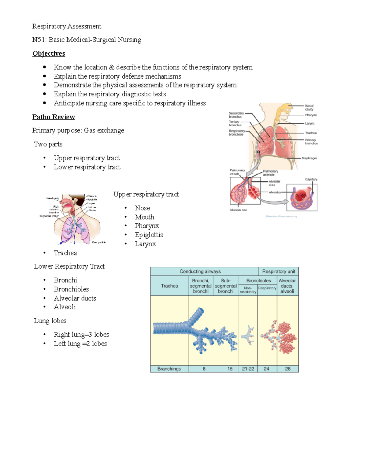 Week 1 Resp Lecture Slide Notes - Respiratory Assessment N51: Basic ...