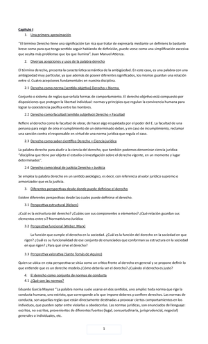 Resumen Teoría Suárez Edit UNIDAD 1 TEMA I EL CONCEPTO DEL DERECHO 1 UNA PRIMERA