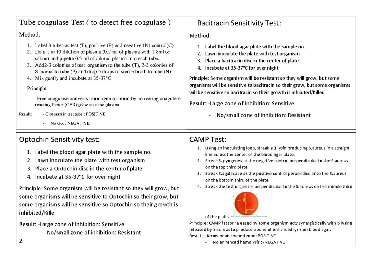 flash-cards-micro-tests-tube-coagulase-test-to-detect-free