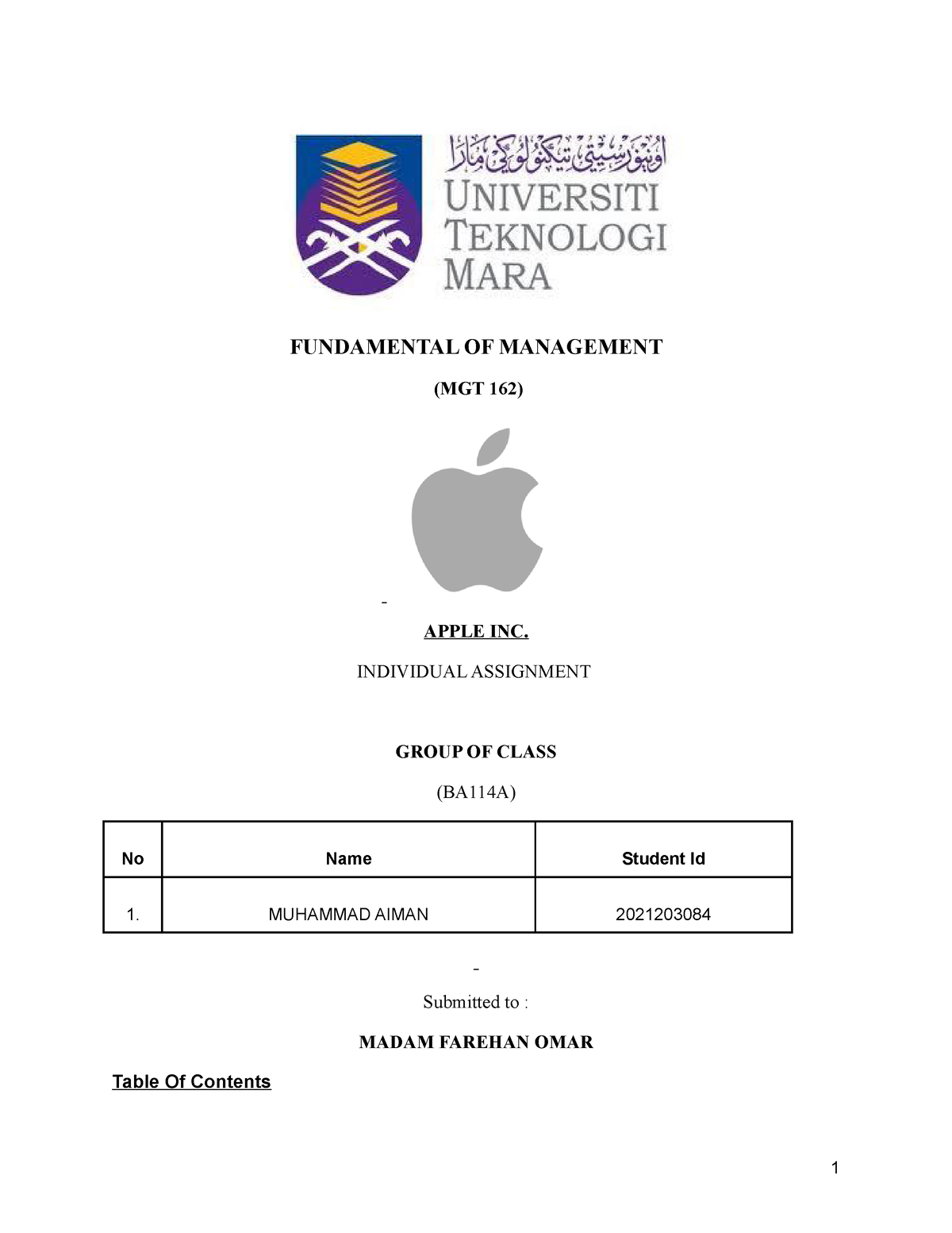 MGT Individual Assignment DJKJDNJSKNKSJN MKDNJKDN - FUNDAMENTAL OF ...