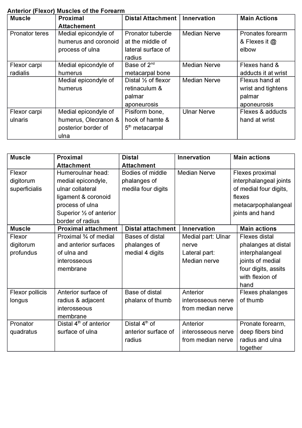 Anterior Muscles of the Forearm - Anterior (Flexor) Muscles of the ...