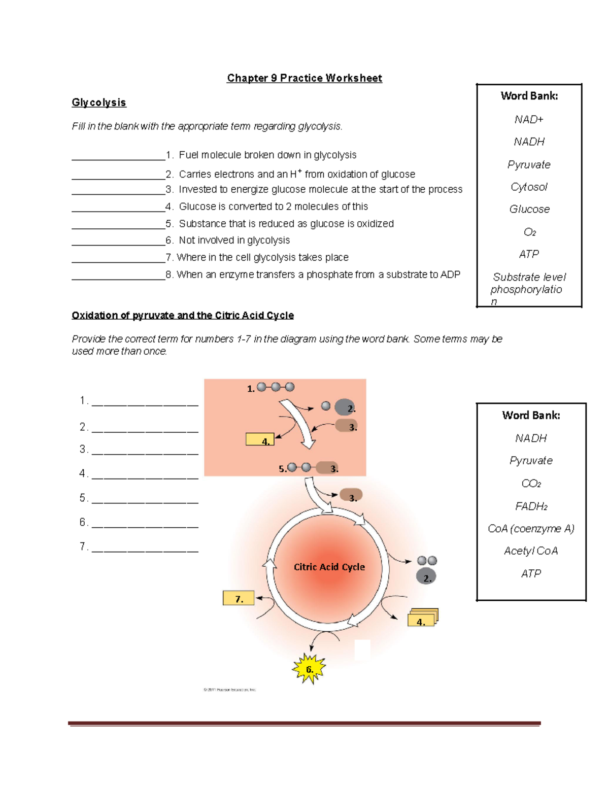 the developing child homework activities answer key chapter 9