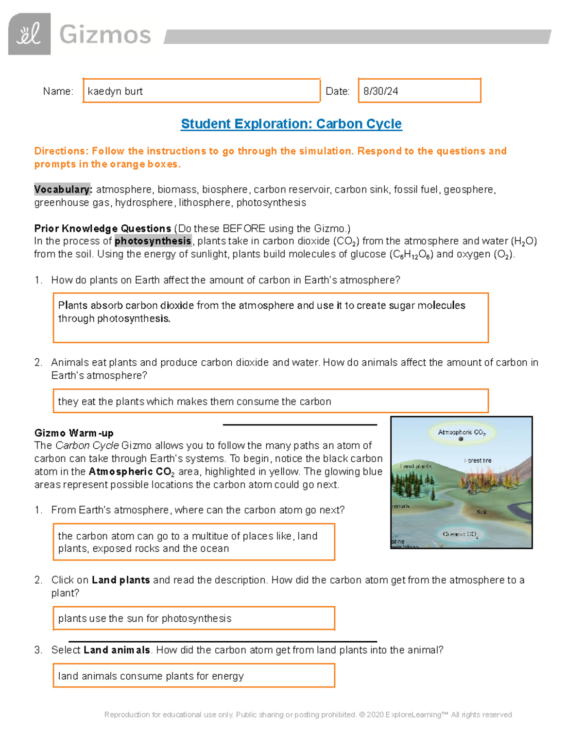 Copy of Copy of Carbon Cycle SE Name kaedyn burt Date 8/30/ Student