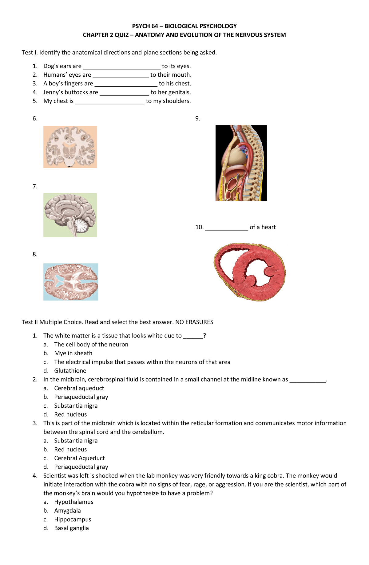 quiz-lesson-2-biological-psychology-psych-64-biological