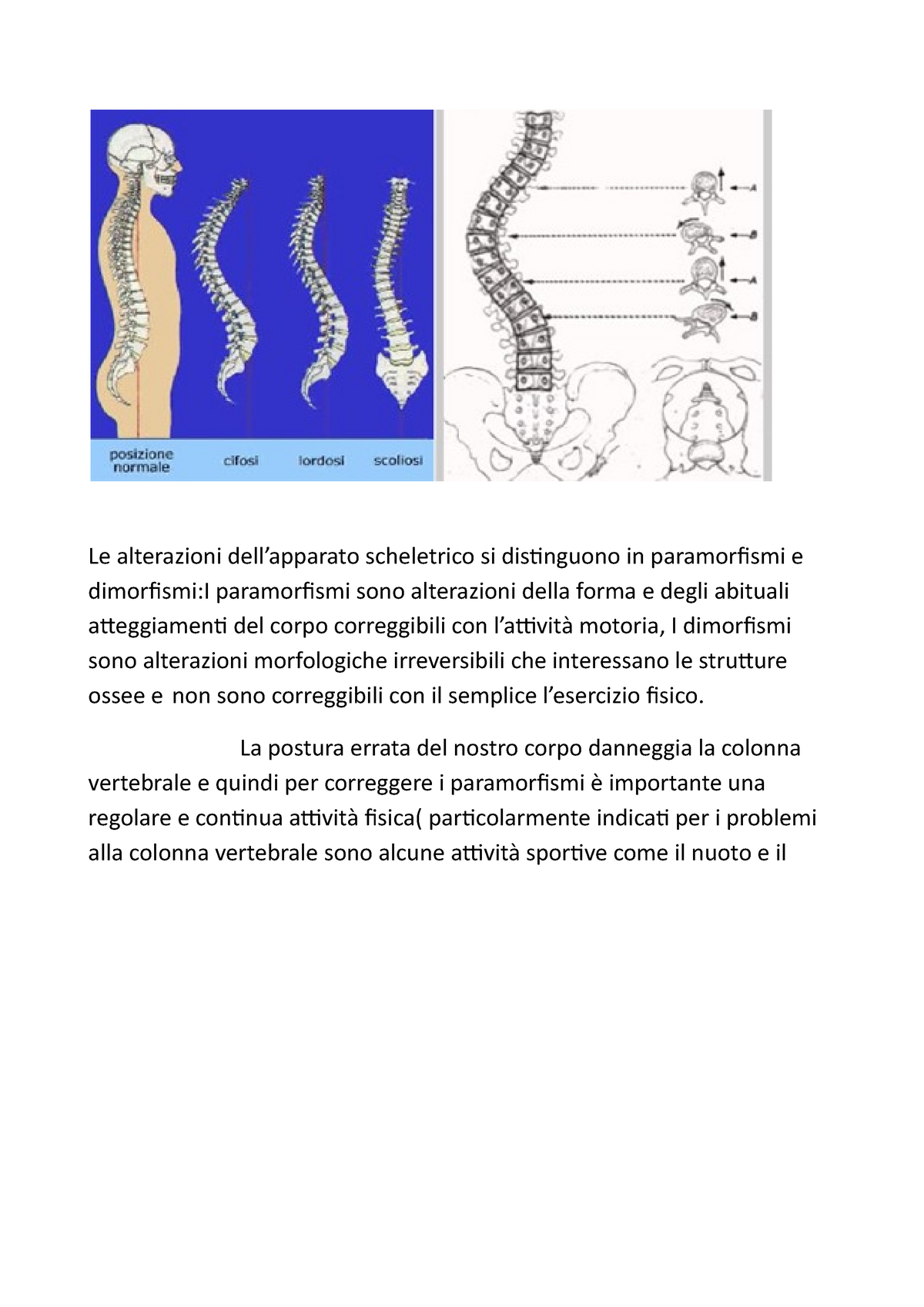 La Postura Errata Del Nostro Corpo Danneggia La Colonna Vertebrale - Le ...