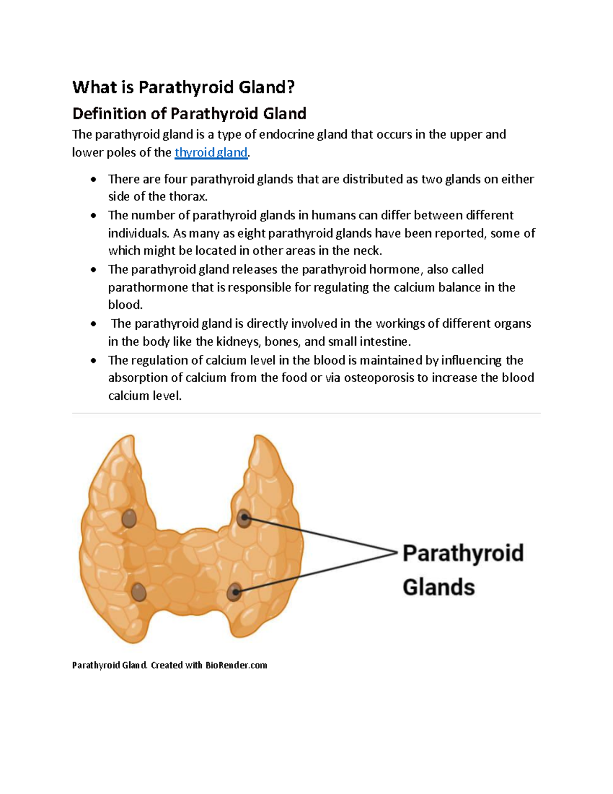 Document 8 I just need one thing What is Parathyroid Gland