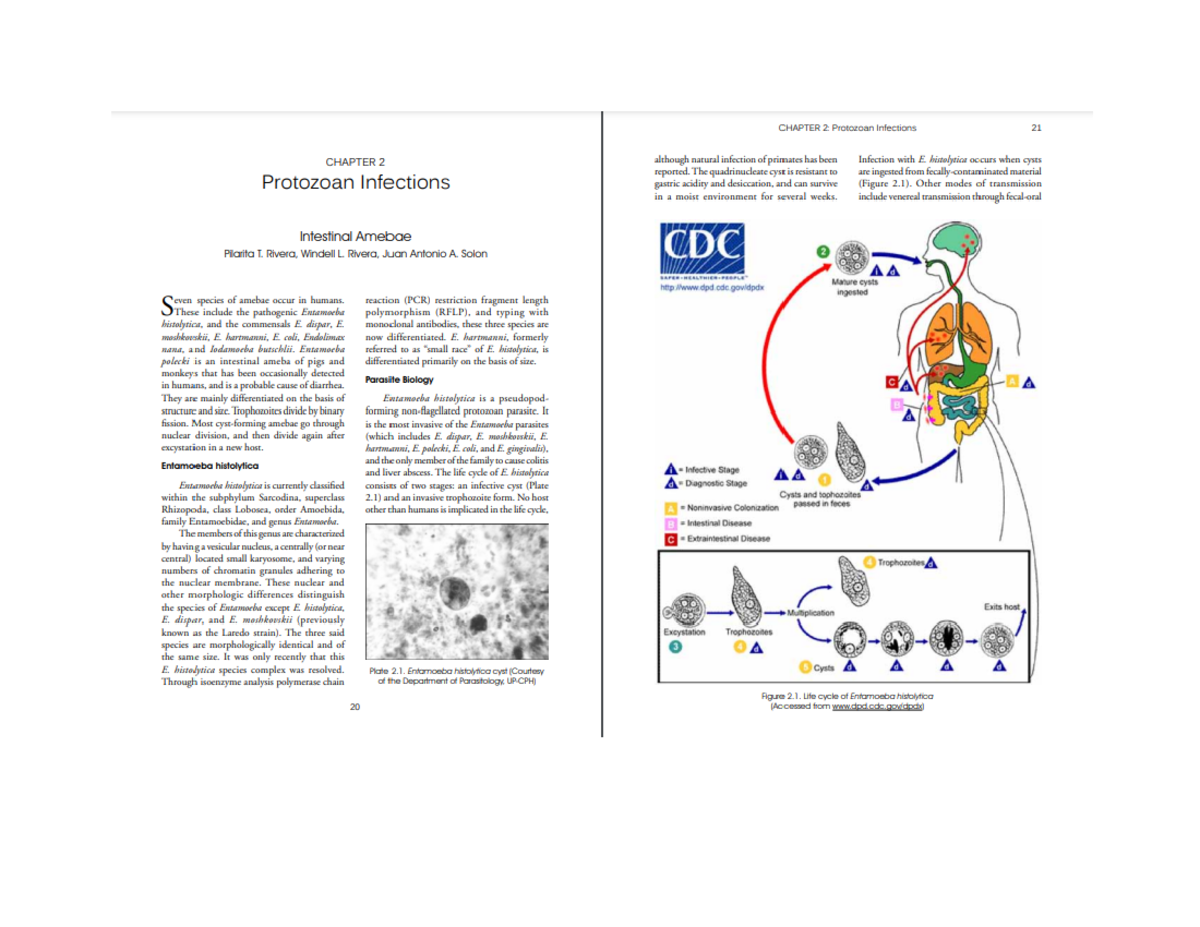 Beli - parasitology - CHAPTER 2: Protozoan Infections 21 CHAPTER 2 ...