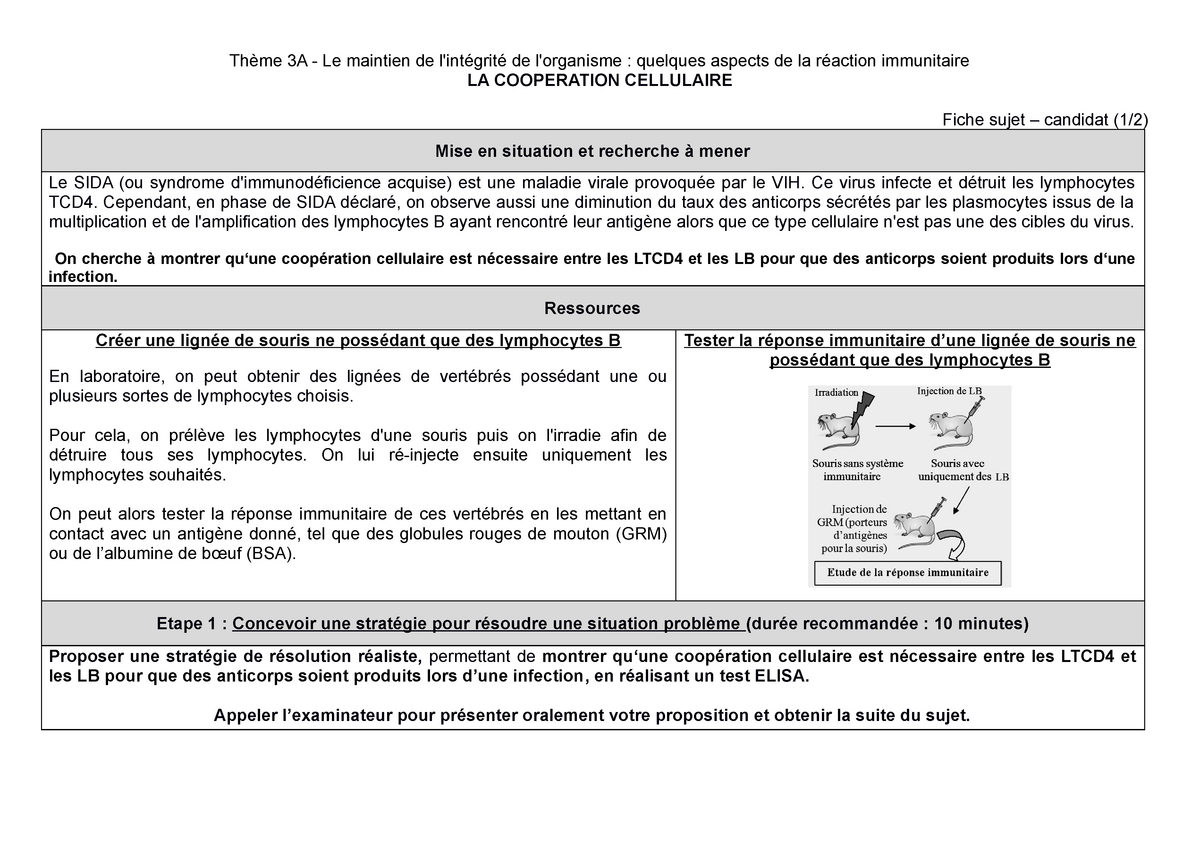 Svt Ece V Travaux Pratique D Svt Pour S Entra Ner Aux Preuves