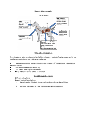 Companion Animal Diseases - notes - Companion Animal Diseases ...