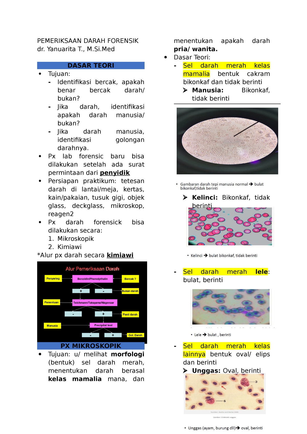 Pemeriksaan Darah Forensik - PEMERIKSAAN DARAH FORENSIK Dr. Yanuarita T ...