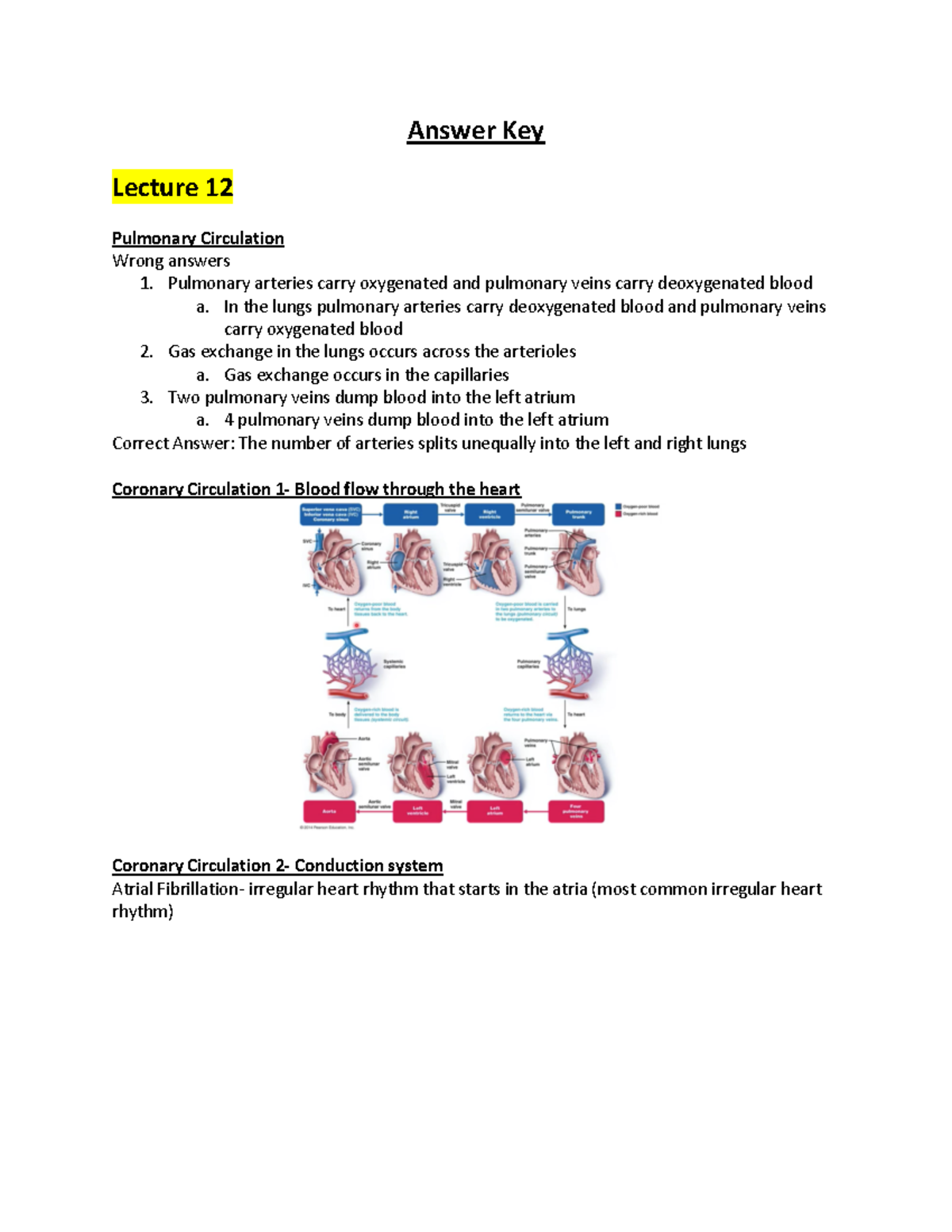 Answer Key L12 - nvrevnirv - Answer Key Lecture 12 Pulmonary Circulation Wrong answers 1 ...