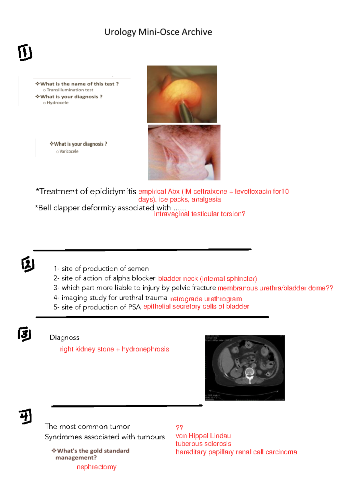 مسالك - Summary - Organizational behavior - *Treatment of epididymitis ...