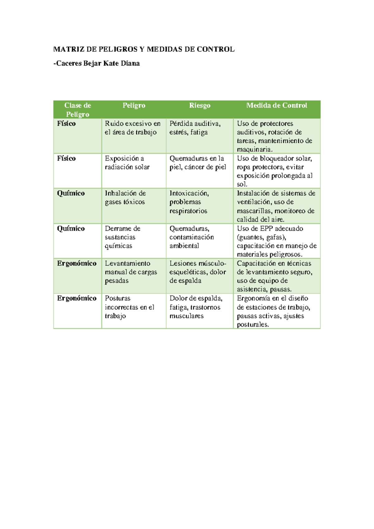 Matriz DE Peligros Y Medidas DE Control kate caceres - MATRIZ DE ...