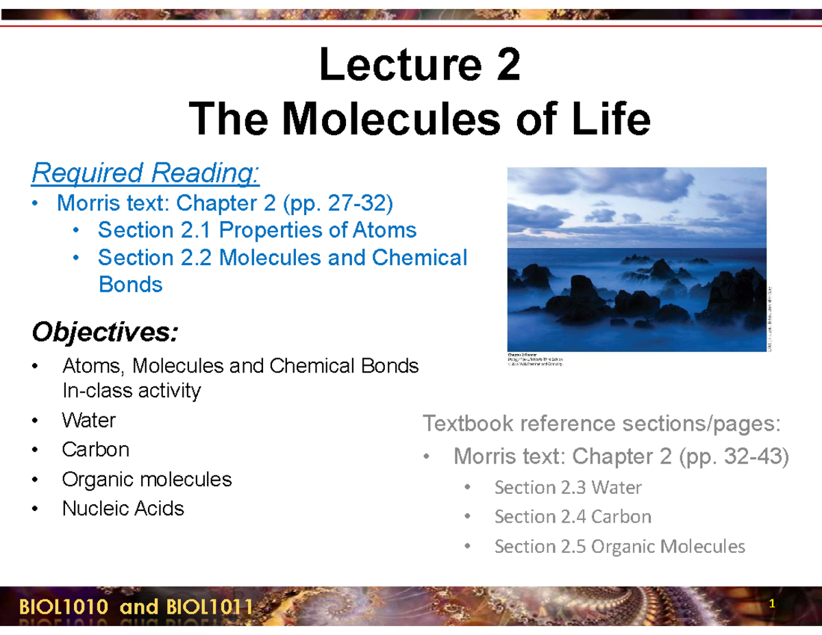 L2 Biology - L2 molecules of life lecture notes - Lecture 2 The ...