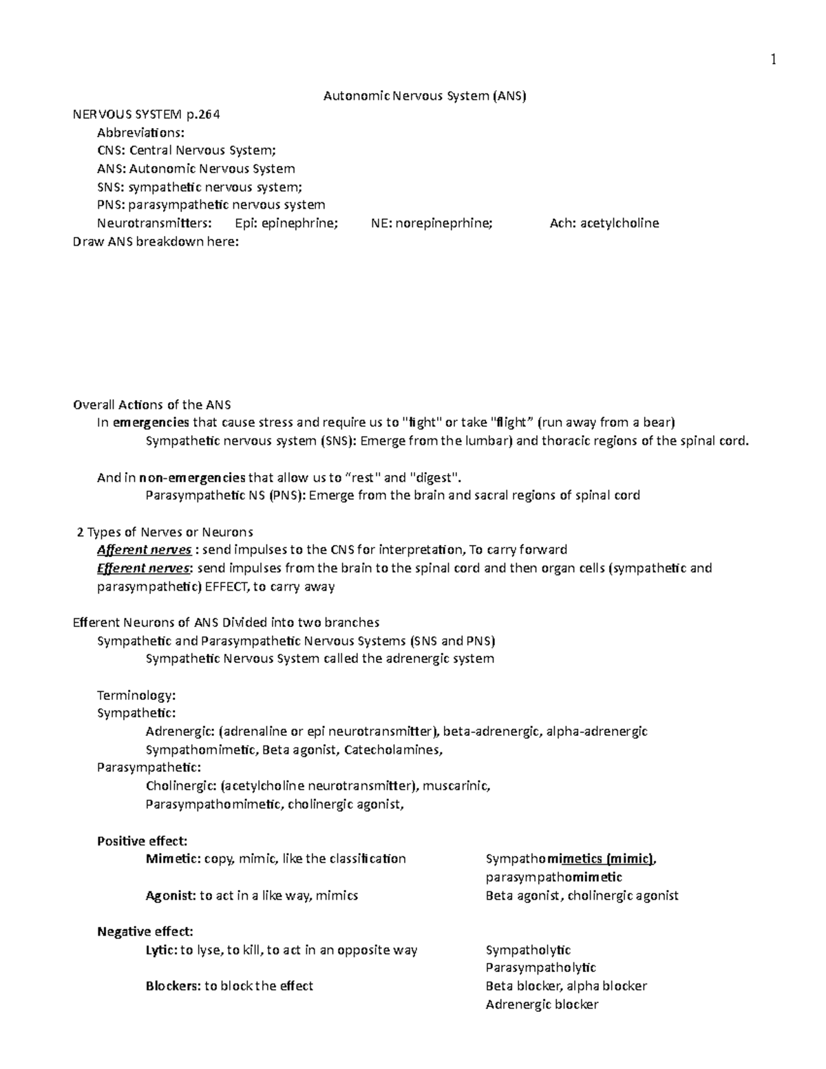 Autonomic Nervous Systemstudent notes - NUR 3420 - Baylor University ...