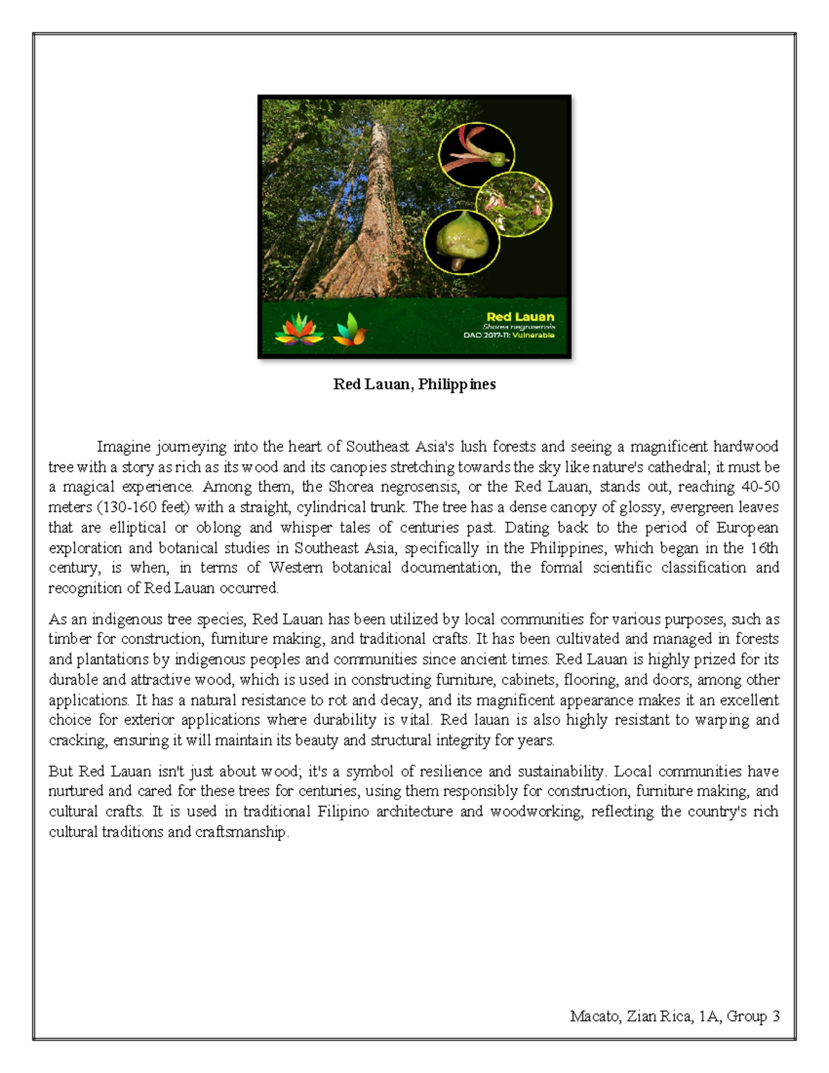 Red Lauan Informations in Tour Guiding - Red Lauan, Philippines Imagine ...