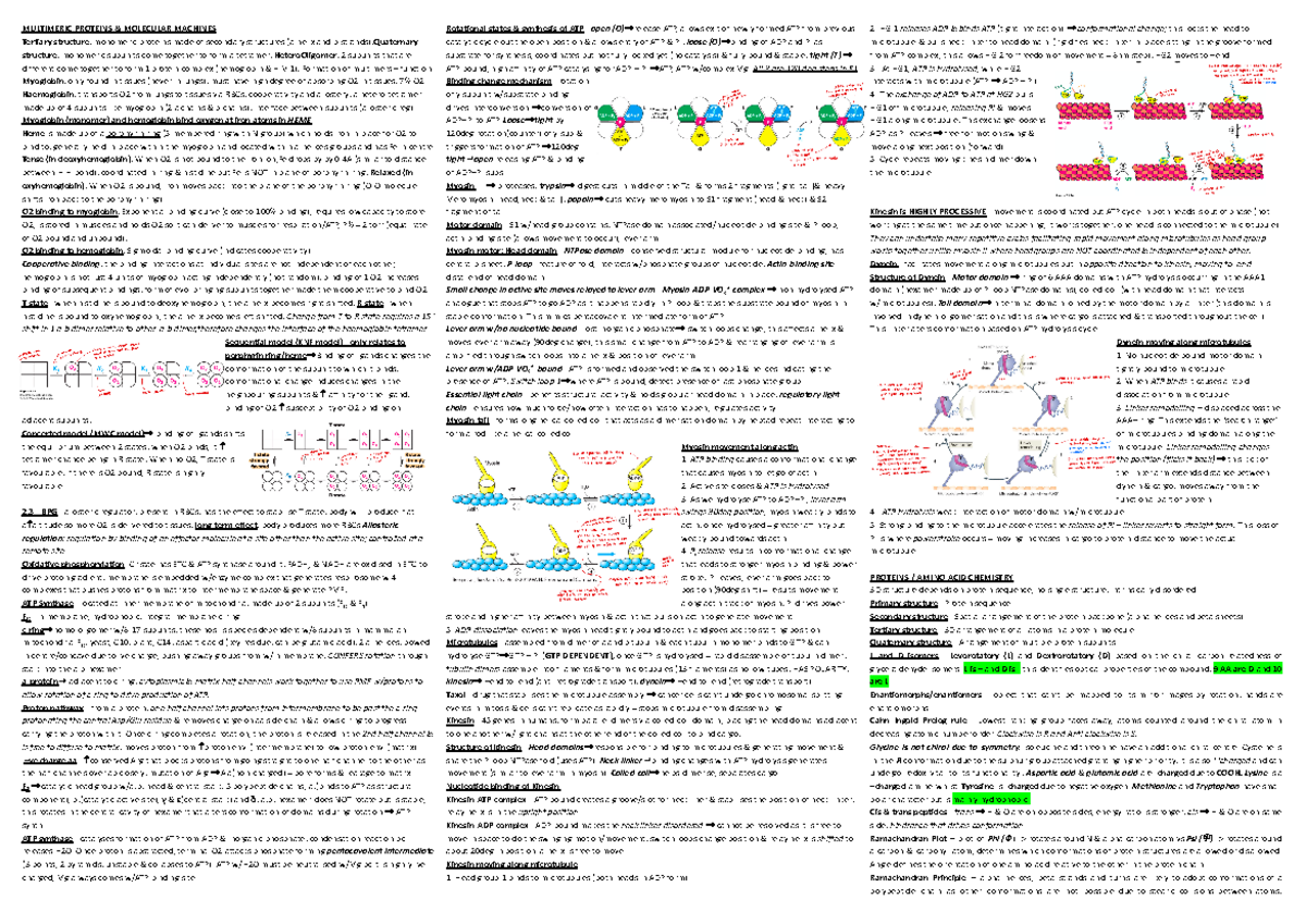 Cheat Sheet test - MULTIMERIC PROTEINS & MOLECULAR MACHINES Tertiary ...