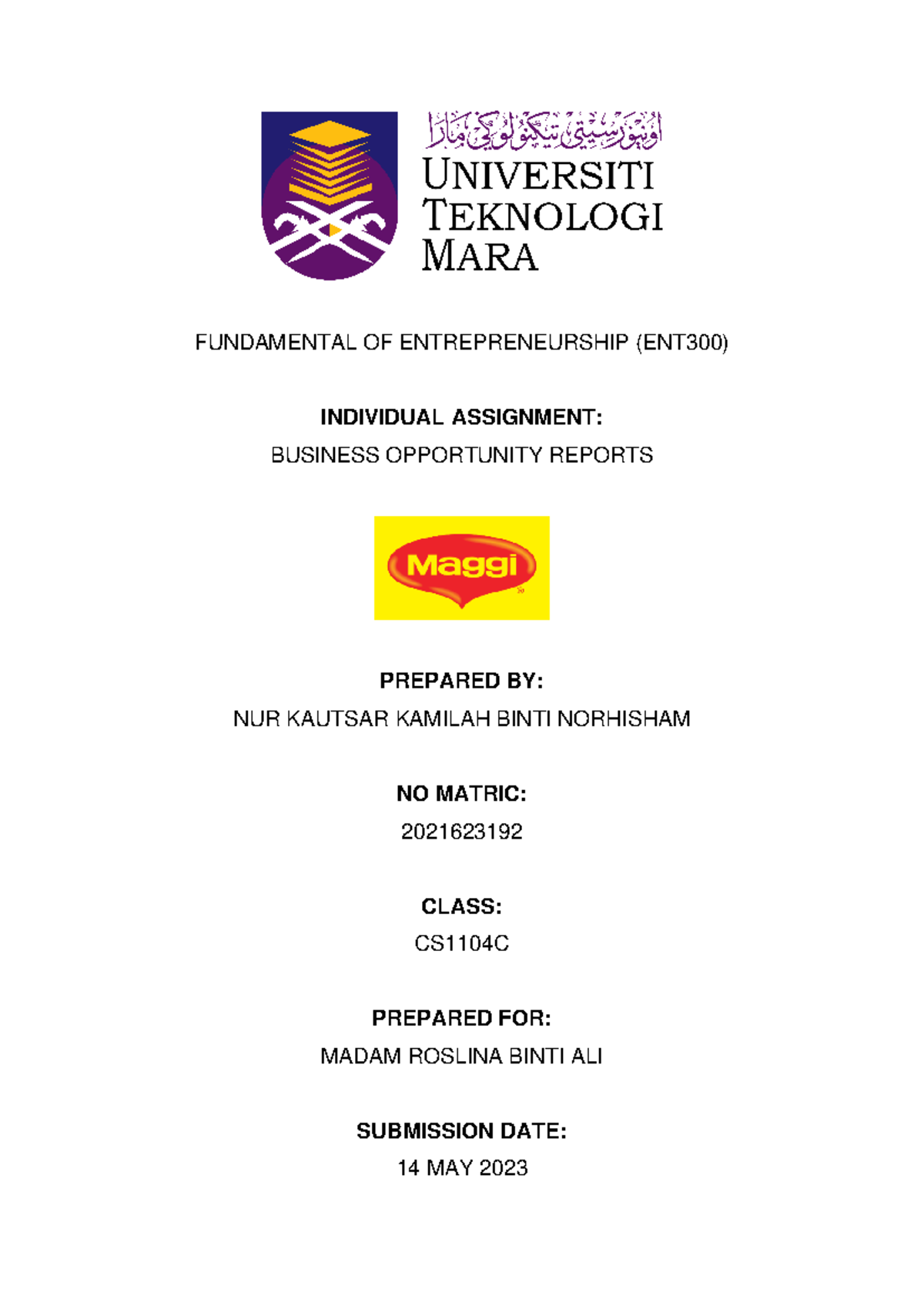 ent300 individual assignment project description