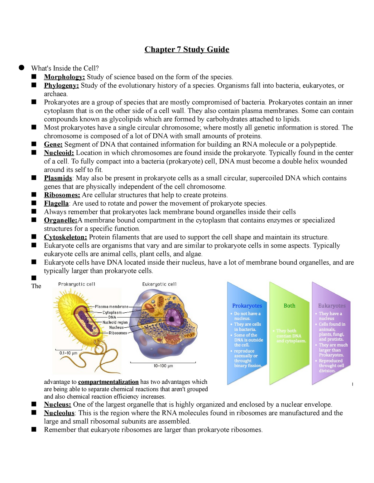 Questions And Answers - BIOL 112 - MSU - Studocu