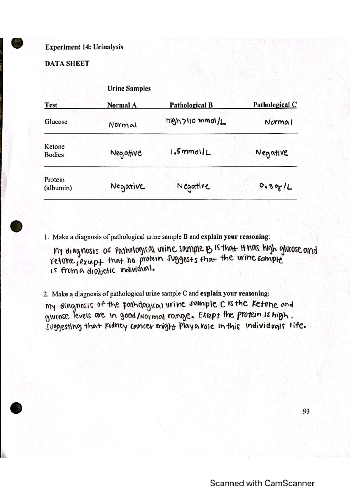 urinalysis experiment discussion