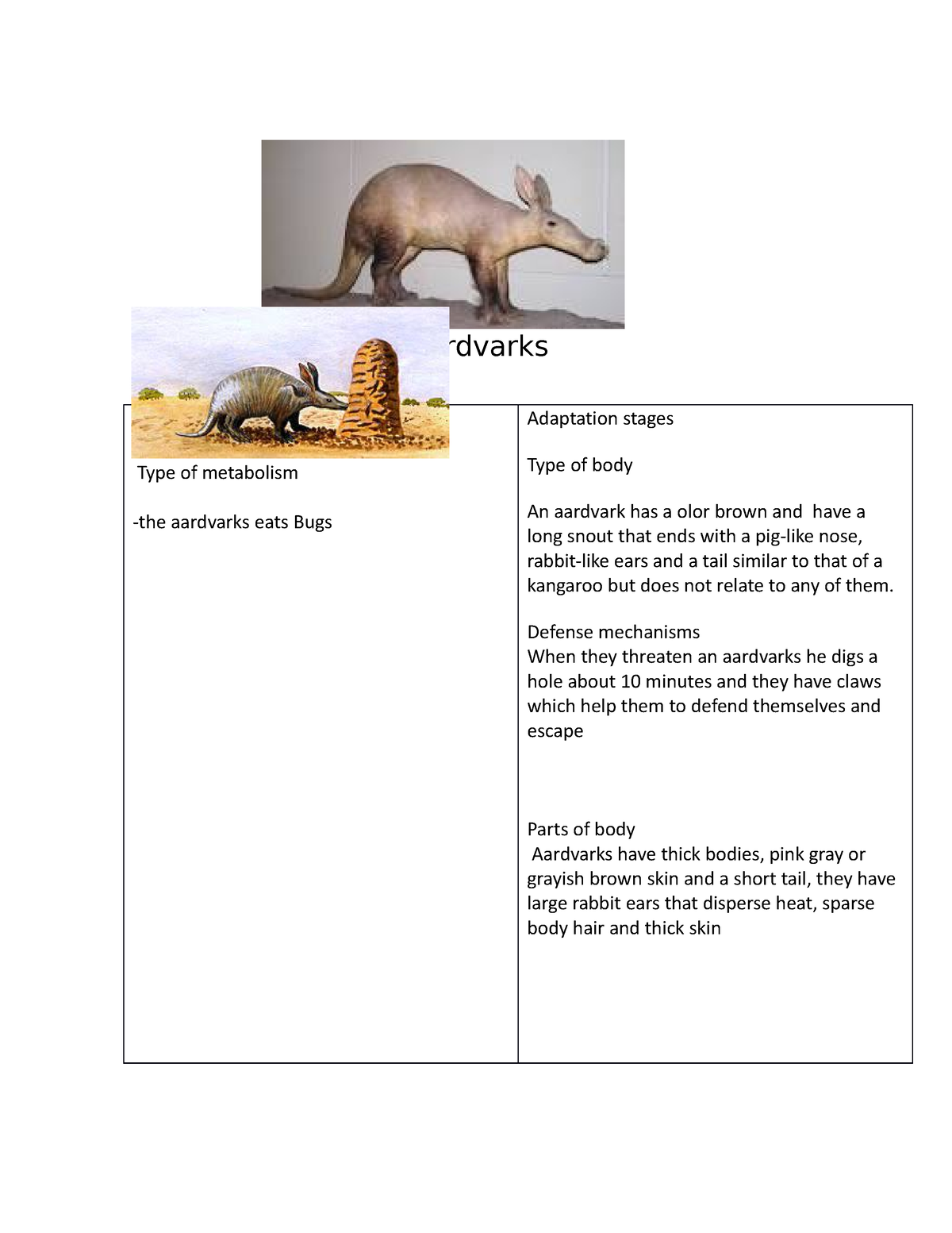 A life evd 1 - Trabajo - Aardvarks . Type of metabolism -the aardvarks