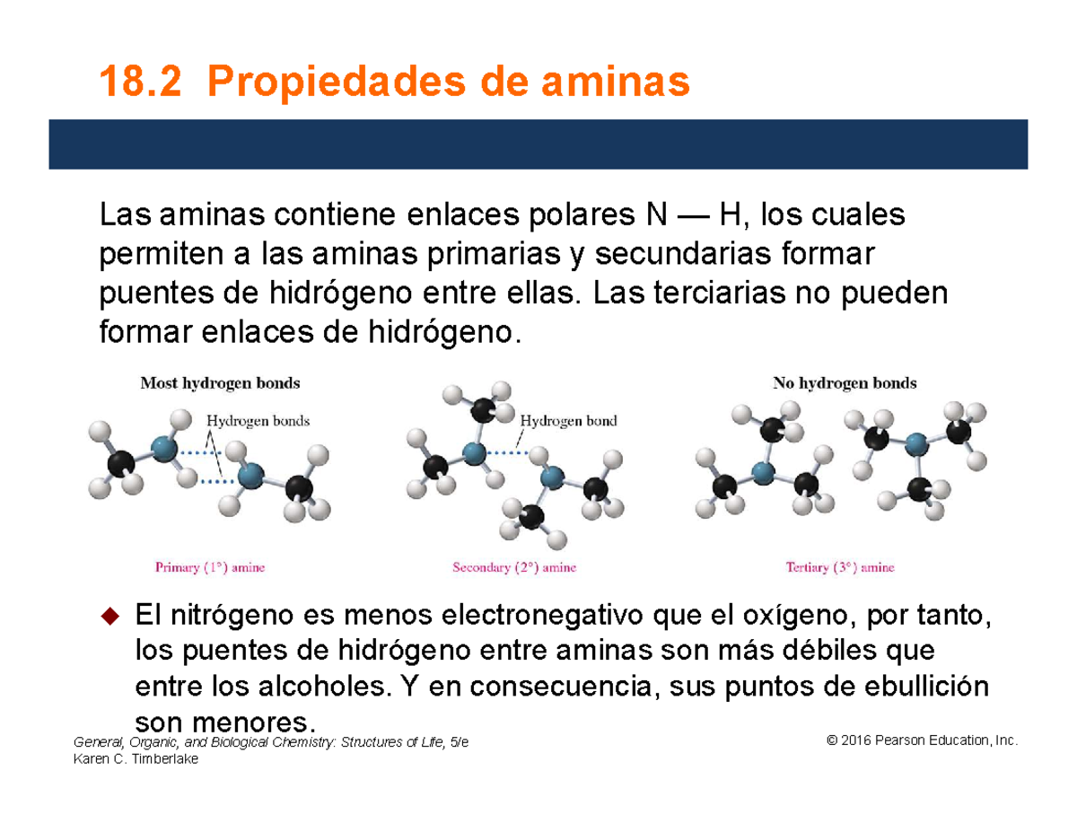 ACtividad 10 Propiedades de aminas General, Organic, and Biological Chemistry Structures of