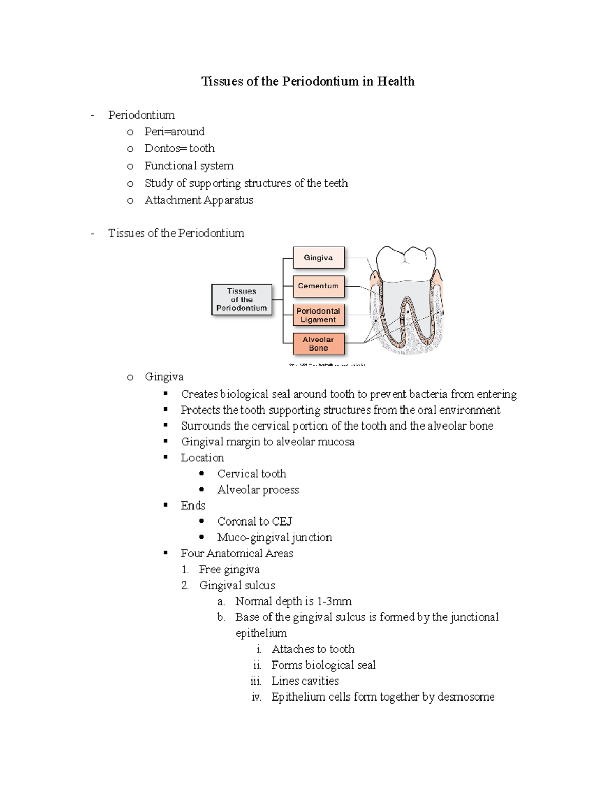 Periodontology Test One Study Guide Tissues of the Periodontium in