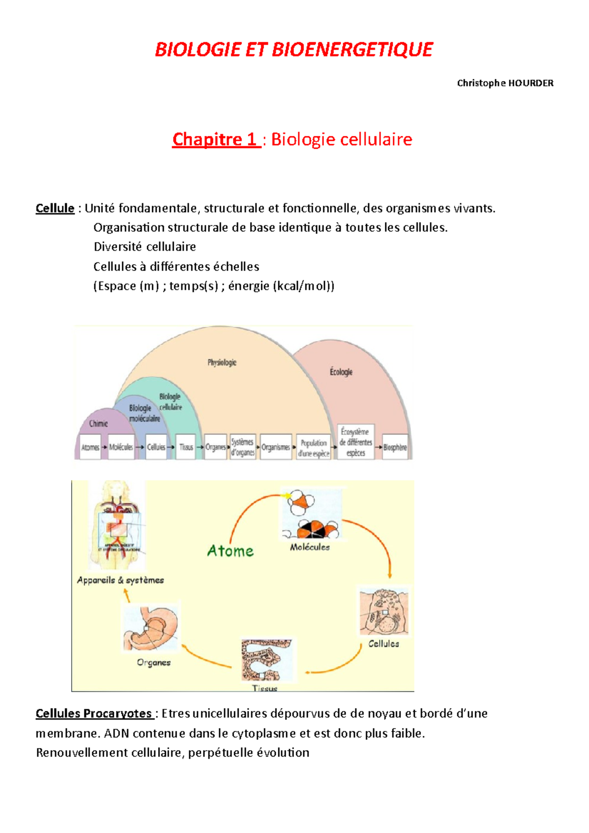 Chapitre 1 Biologie Cellulaire - BIOLOGIE ET BIOENERGETIQUE Christophe ...