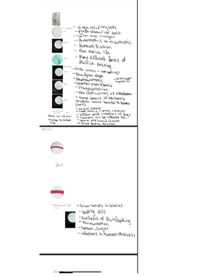 Chapter 12 Worksheet KEY - BIO 150 - Studocu