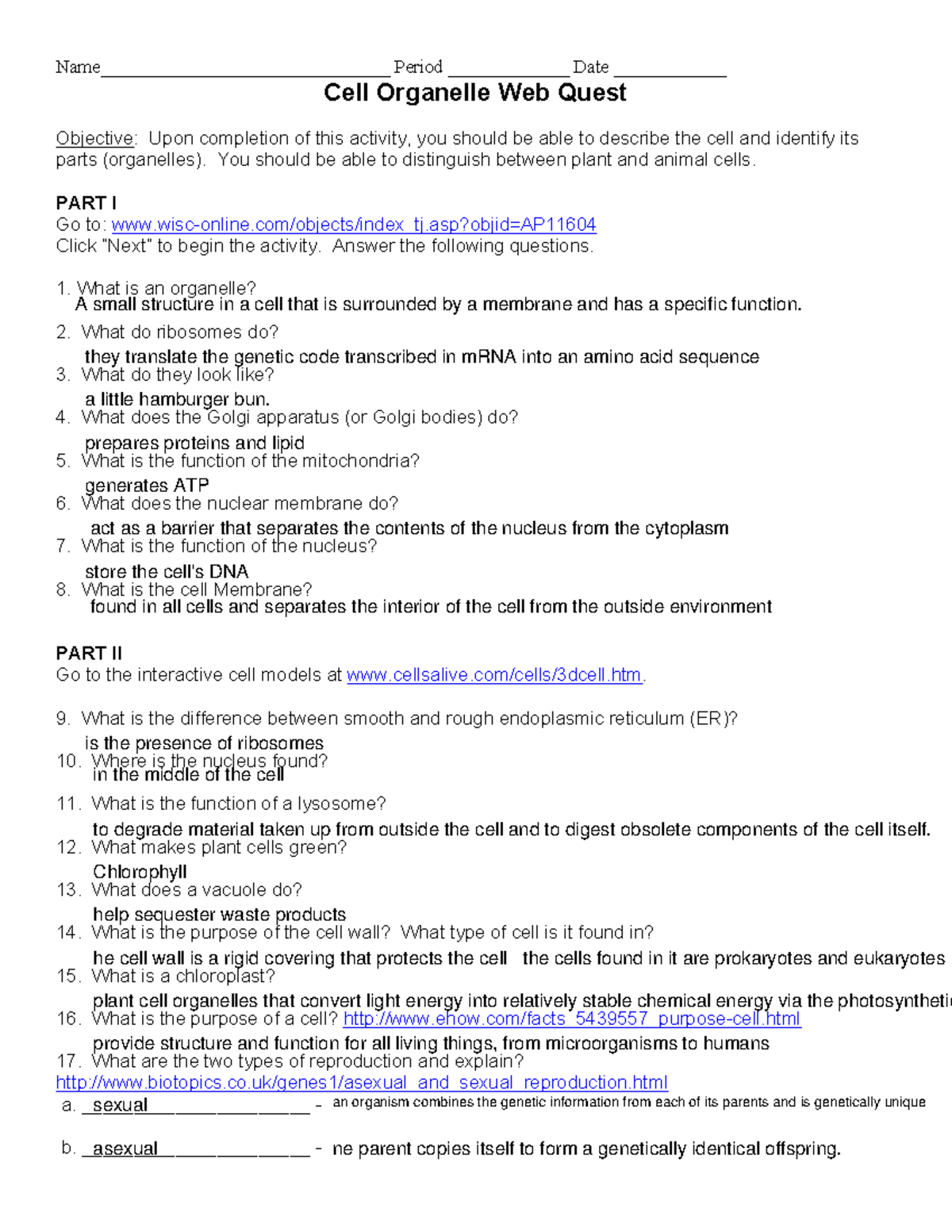 organelle case study answer key