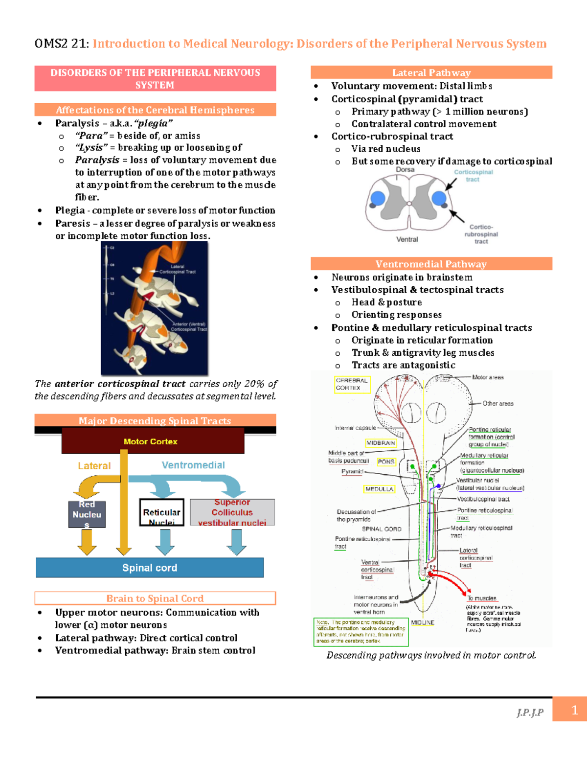 OMS2 21 Week 3 - OMS2 21 Week 3 - DISORDERS OF THE PERIPHERAL NERVOUS ...
