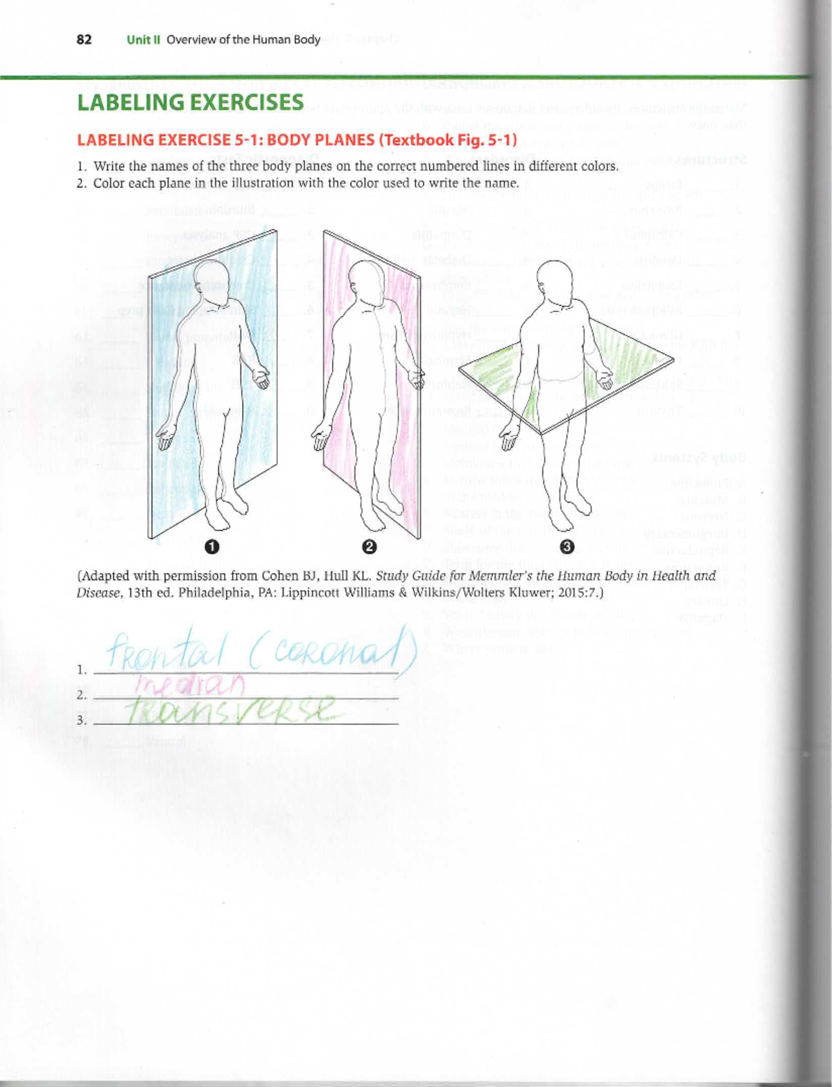 BRW405BD8A18010 002176 - 82 Unit II Overview of the Human Body LABELING ...