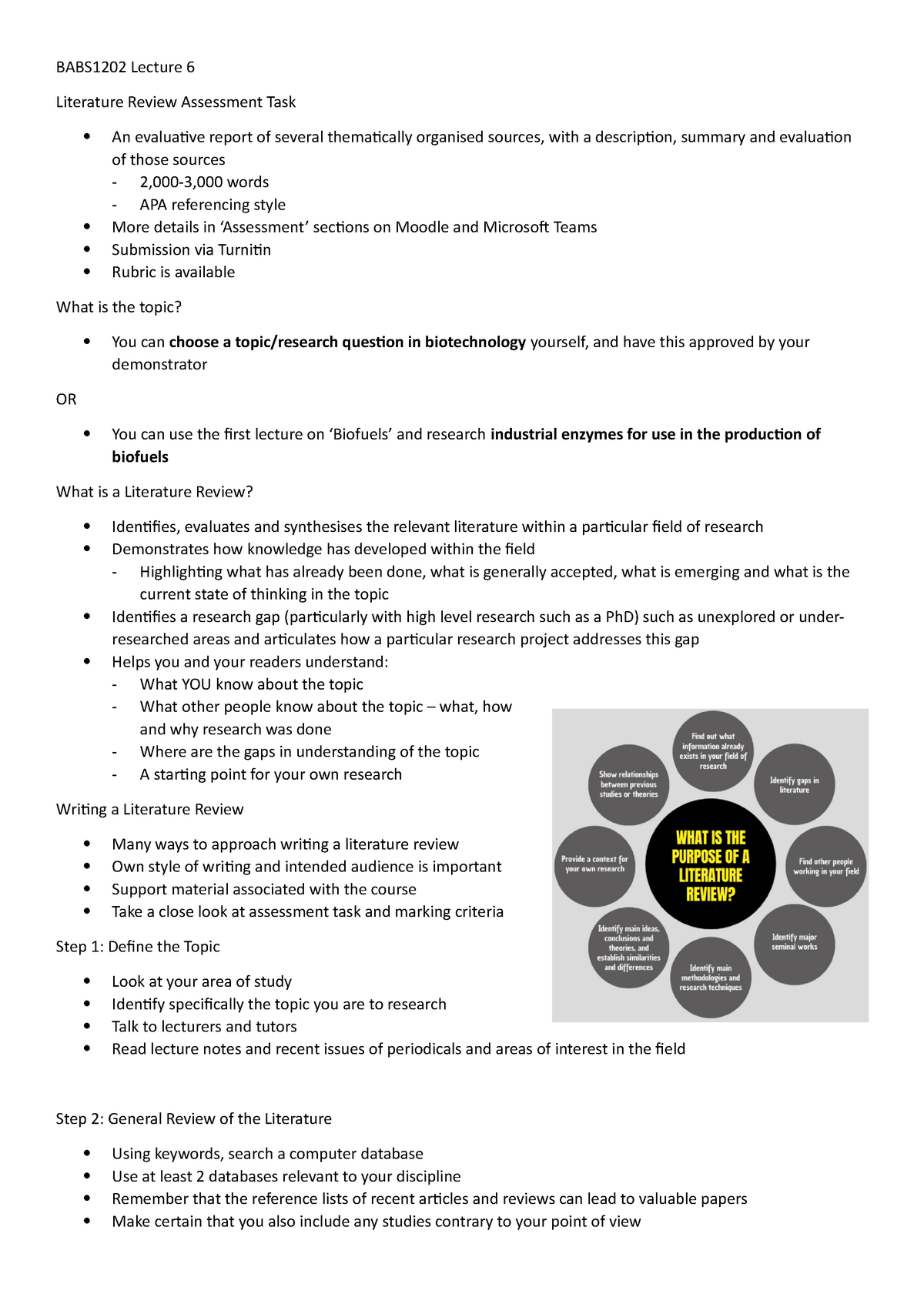 level 6 literature review