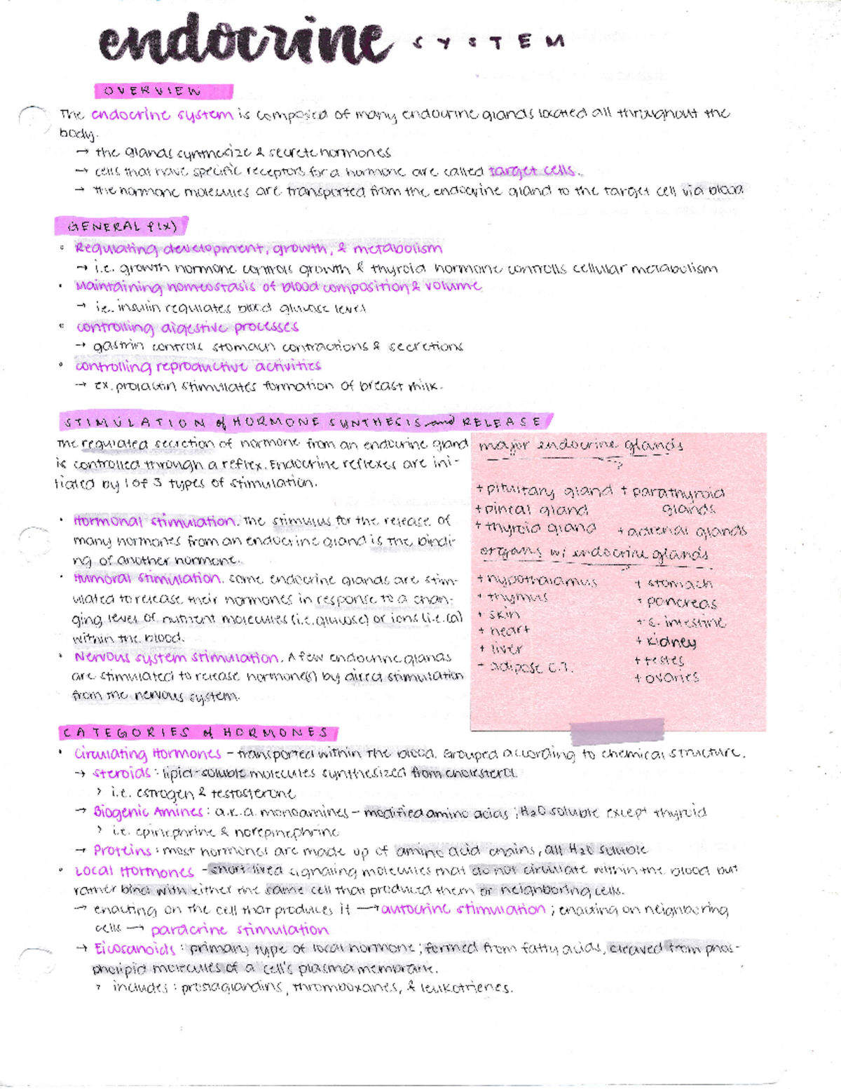 A&P 2 Notes I - Endocrine System - BIOL& 242 - Studocu