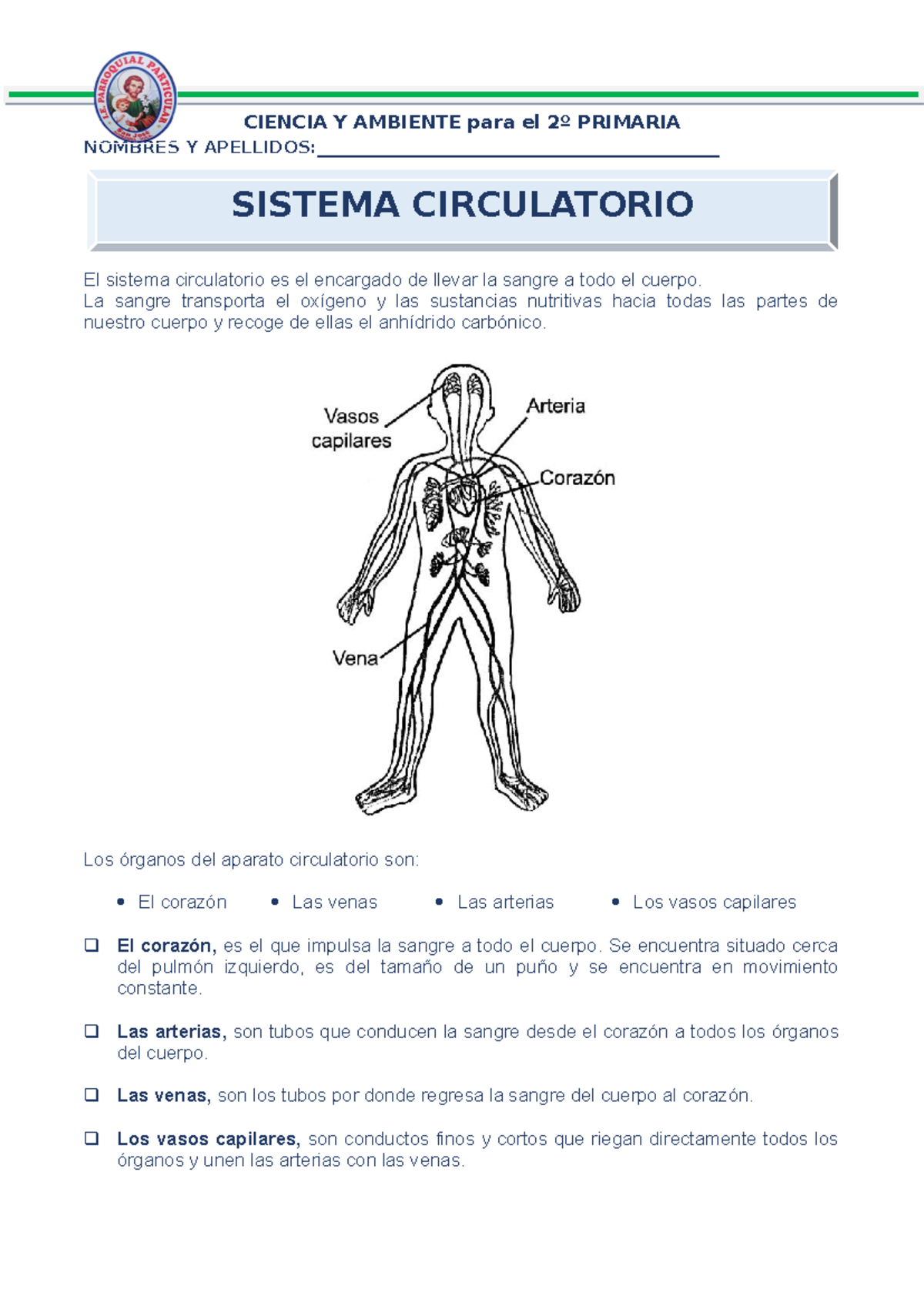 Aparato Circulatorio para Segundo de Primaria - CIENCIA Y AMBIENTE para ...